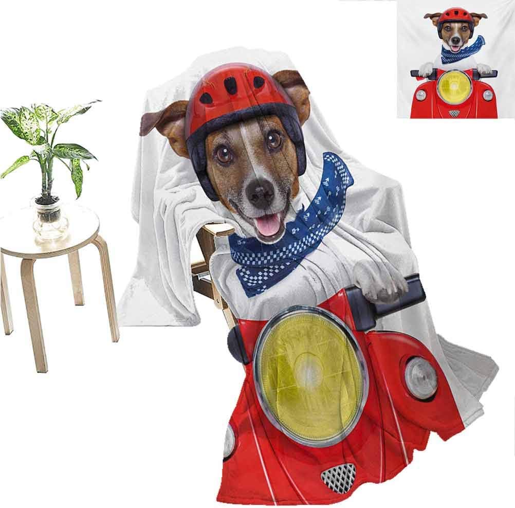 jecycleus Dog Driver Comfortable Large Blanket Puppy with Helmet Riding Motorbike Humor Jack Russell Courier Italy Pet Graphic Microfiber Blanket Bed Sofa or Travel W80 x L60 Inch Multicolor