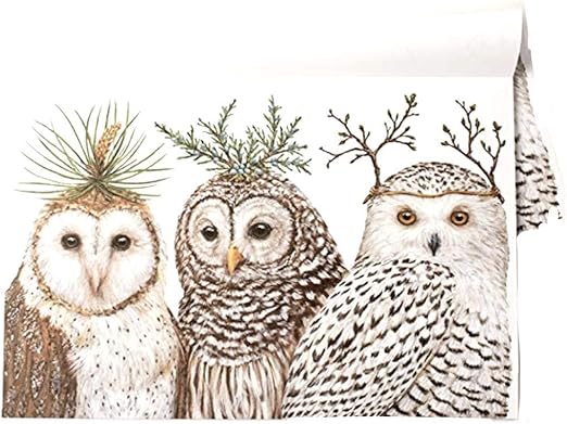 Amazon Com Kitchen Papers Winter Owls Paper Placemat Set Home