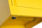 BiGDUG Metal COSHH Hazardous Substance Storage Cabinet 3 Shelf HSE Safety view 7