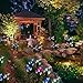 Doingart Outdoor Solar Garden Stake Lights 2 Pack Solar Powered Lights with 8 Lily Flower, Multi-Color Changing LED Solar Decorative Lights for Garden, Patio, Backyard (Purple and White)