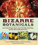 Bizarre Botanicals: How to Grow String-of-Hearts, Jack-in-the-Pulpit, Panda Ginger, and Other Weird and Wonderful Plants by Larry Mellichamp, Paula Gross