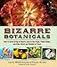 Bizarre Botanicals: How to Grow String-of-Hearts, Jack-in-the-Pulpit, Panda Ginger, and Other Weird and Wonderful Plants by Larry Mellichamp, Paula Gross