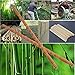 Drum sticks Natural Bamboo Drumsticks 5A (2 Pair Bamboo)