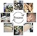 Aobei Pearl Single Cultured Freshwater Pearl Bracelet Handmade Leather Pearl Jewelry for Women 7'' Black Leather White Pearl