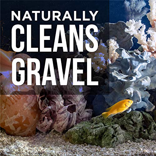 4 Cleaner+Freshwater+Saltwater+Natural+Pump+Free+Cleaning