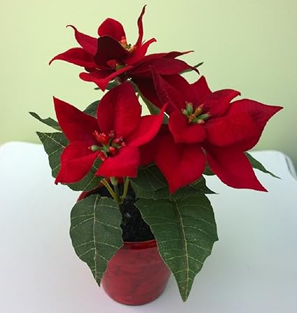 Fleur Artificielle En Pot Rouge Poinsettia Rouge Pour