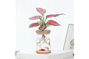 Plants Propagation Stations,Separated Desktop Flower Vase for Living Room and Bedroom, Decorative Vases for Wedding, Valentin