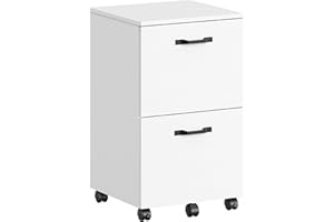 VASAGLE 2-Drawer File Cabinet, Filing Cabinet for Home Office, Small Rolling Printer Stand, A4, Letter-Size Hanging Files, As
