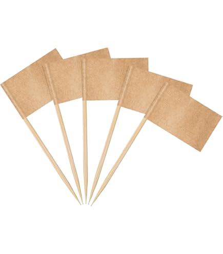 AhfuLife 100/200 stks Palestijnse tandenstoker vlaggen taarttoppers, Palestina Cocktail Stick Vlag voor Sandwich Eten Cupcake Toppers Party Decoraties (200 stuks AhfuLife 100/200 stks Palestijnse tandenstoker vlaggen taarttoppers, Palestina Cocktail Stick Vlag voor Sandwich Eten Cupcake Toppers Party Decoraties (200 stuks