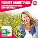 Hemp Cream for Pain Relief with 10,000mg Hemp Oil - For Arthritis, Muscle, Joint, Fibromyalgia and Knee Pain