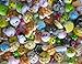 Variety of 5 Squishy Charms by Kawaii