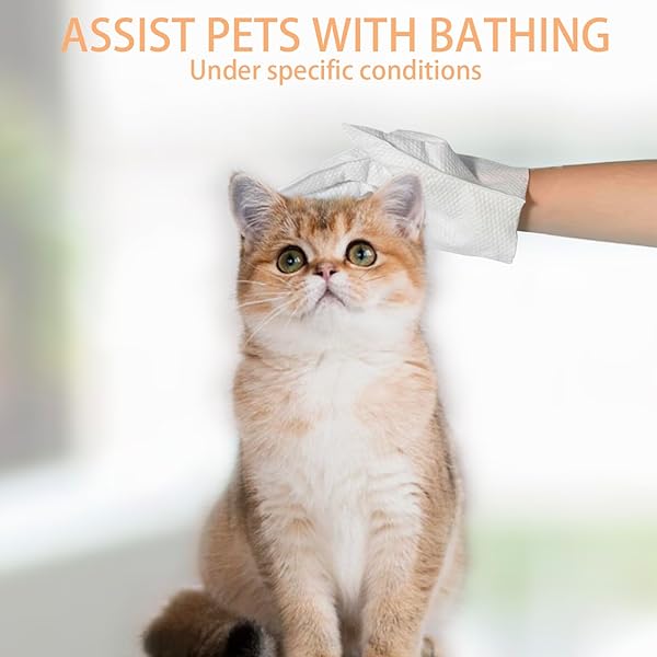 PET WIPES FOR DOGS AND CATS, CAT WIPES DOG WIPES CLEANING DEODORIZING HYPOALLERGENIC CAT WIPES CLEANING FUR AND BUTT PET GROOMING GLOVES FOR DOGS,CAT CLEANING WIPES FOR DAILY CARE AND TRAVELING-6 PCS