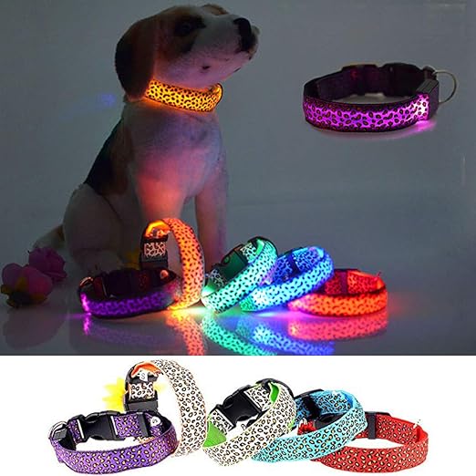 cat urine out of furniture