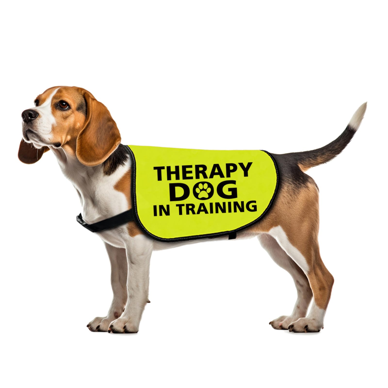 Funny Therapy Dog Jacket - Vest for Assistance Dog in Training - Slogan Vest Gift (Large)