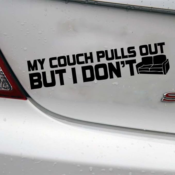 Amazon Com Mountainvalleyclimber My Couch Pulls Out But I Don T