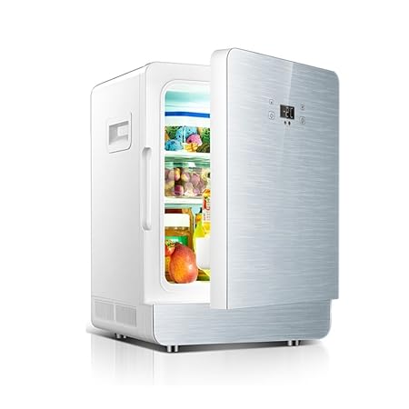 YQQ-Refrigerador de coche 20L Refrigerador Pequeño Pantalla ...