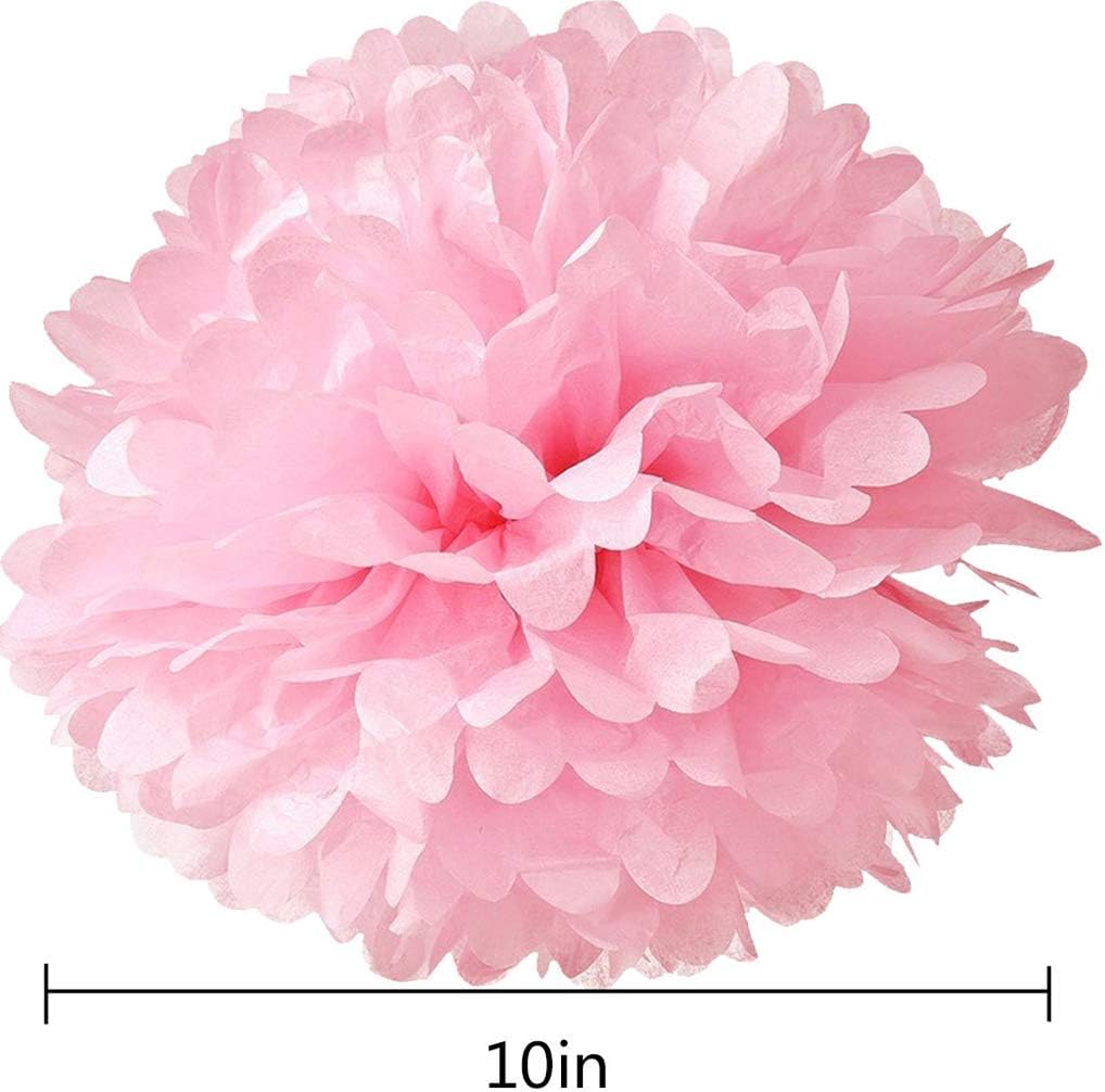 Hmxpls 10pcs Tissue Hanging Paper Pom-poms Flower Ball Wedding Party Outdoor Decoration, Premium Tissue Paper Pom Pom Flowers Craft Kit(Pink): Home & Kitchen