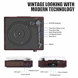 Vinyl Record Player Turntable with Built-in