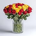 GlobalRose 50 Fresh Cut Roses - 25 Yellow & 25 Red - Fresh Flowers Bouquet - Flowers for Mother's Day, Wedding, Birthday, Anniversary, or Home Decor