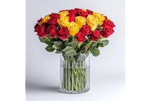 GlobalRose 50 Fresh Cut Roses - 25 Yellow & 25 Red - Fresh Flowers Bouquet - Flowers for Mother's Day, Wedding, Birthday, Anniversary, or Home Decor