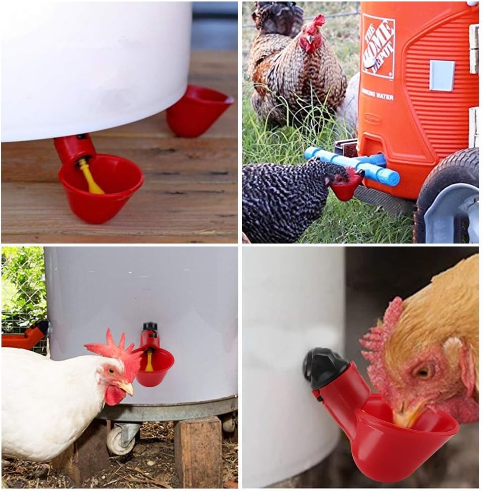 10 Pièces Automatique pour Volaille Tasses à Boire De leau De 