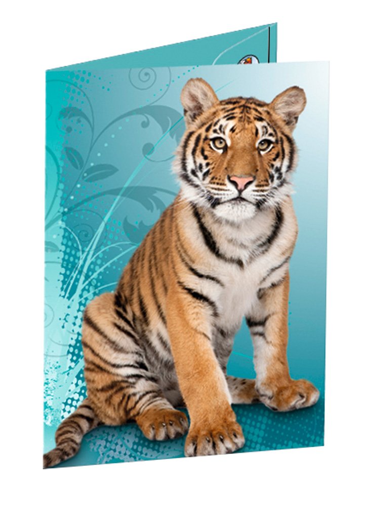 Ursus 5504001 Portfolio File with Elastic Strap A3