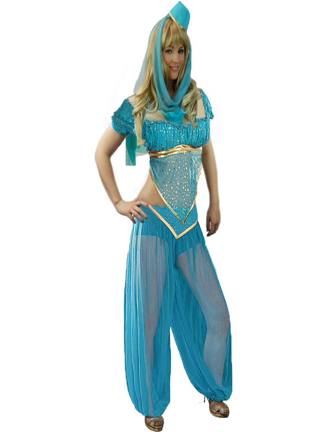 Yummy Bee Princess Jasmine Costume for Women | Bollywood Belly Dancer Outfit | Adult Princess Costume | Ladies Plus Size Blue Womens Dance Outfit 8–18 (18)