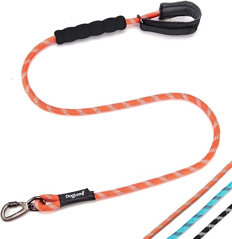 dog leads amazon