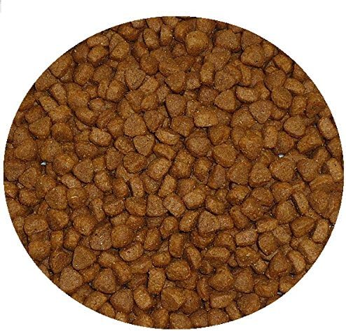 Hedgehog Complete Food 500g - Hog feed - Feeder - Total Balanced Pellets - Willdlife