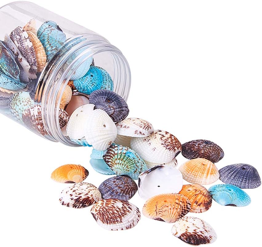 PH PandaHall 50pcs Dyed Sea Shells Scallop Shells Natural Conch Shell Beads Drilled Tiny Scallop Sea Shell for Crafting Hanging Decoration Making Beach Party Garland Wedding Decor 1.2~1.4 Inch