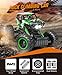 DOUBLE E 1:12 Large Scale Remote Control Car 4x4 Off Road Remote Control Monster Truck Rock Crawler with Dual Motors