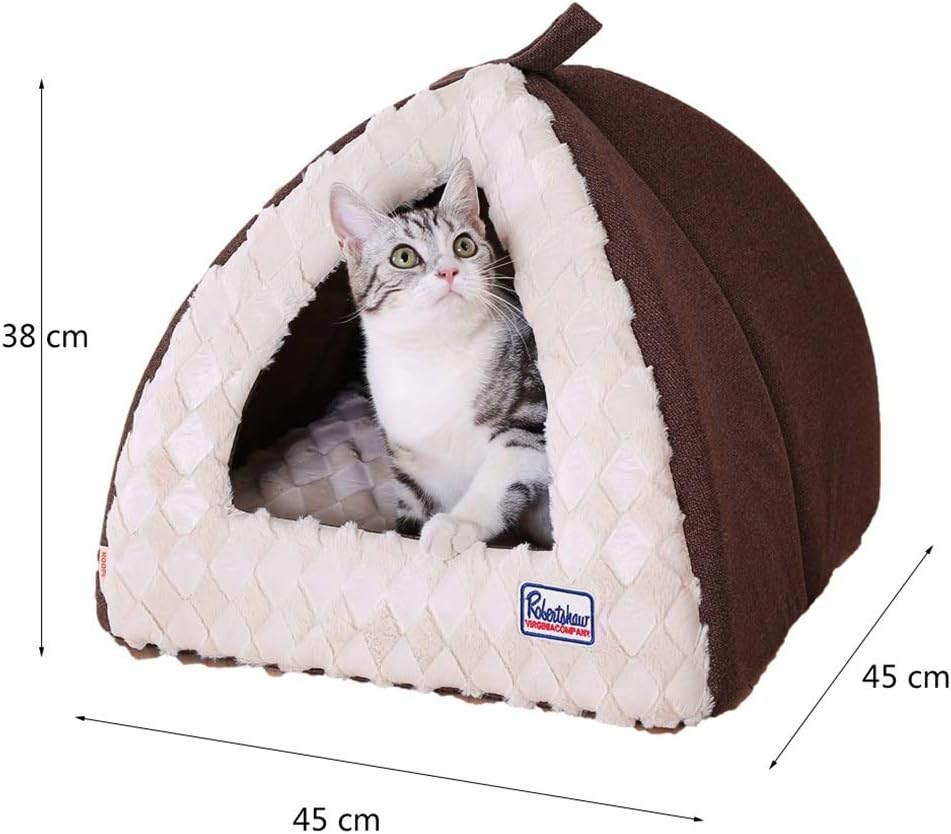 cat sleeping house