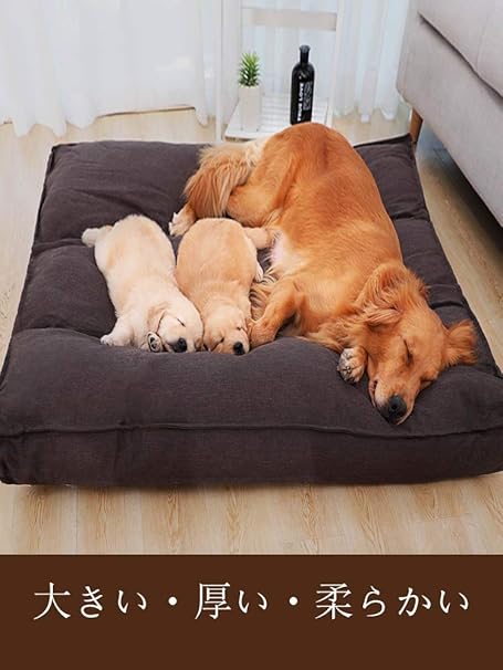 Amazon Co Jp Lxkko ペットマット 犬 犬小屋マットは秋冬のペットの綿マットを噛むことができ 冬の暖かくて保温マットレス猫の寝るマットを洗うことができる Size S ホーム キッチン Amazon Co Jp Lxkko ペットマット 犬 犬小屋マットは秋冬のペットの綿マットを噛むことができ 冬の暖かくて保温マットレス猫の寝るマットを洗うことができる Size S ホーム キッチン