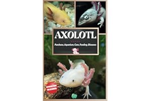 Axolotl: Complete Beginner's Guide to the most special salamander - Purchasing, Aquarium Setup, Care, Feeding, Maintenance, D