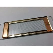 Sedgewick-Rafter Counting Chamber Yantra Gridded Sedgewick-Rafter ...