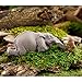 Top Collection Miniature Garden Elephant Reading Book with Owl, Gray