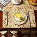 QXFSMILE Modern Jacquard Floral Placemat 12 by 16 Inch Khaki, 6 Piece