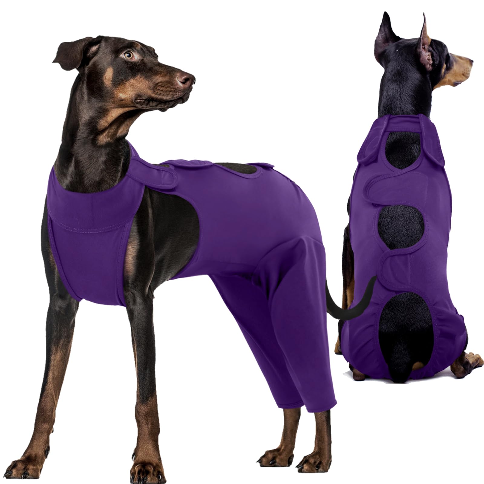 Kuoser Dog Bodysuit After Op, Recovery Suit for Castration Male , Thigh Protection Bodysuit, Anti-Wound Licking, Cervical Collar Alternative, Purple L
