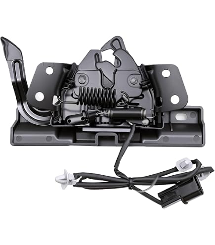 Amazon.com: Genuine OEM 81161-C1001 Lifter - Hood, LH / 81161C1001