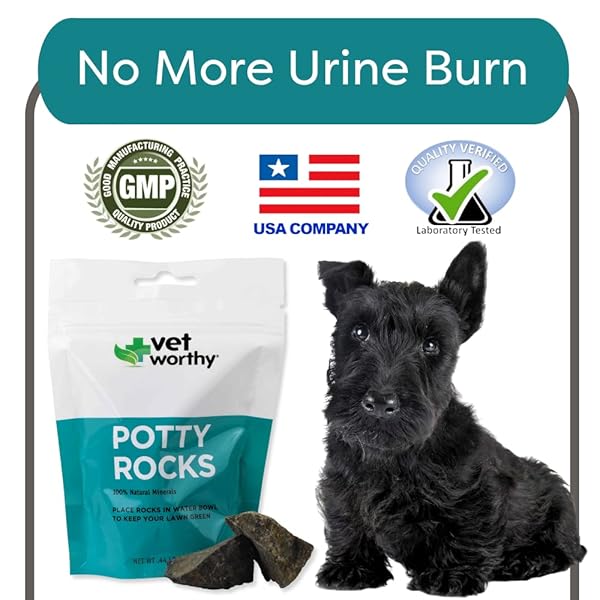 VET WORTHY POTTY ROCKS FOR DOGS – PARAMAGNETIC IGNEOUS ROCKS – HELPS FILTER OUT IMPURITIES AND ELIMINATE URINE LAWN – KEEPS YOUR GRASS GREEN – NATURAL MINERALS – SAFE FOR ALL PETS – 200GRAMS