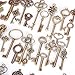 KeyZone Wholesale 69 Pieces Large Antique Bronze Vintage Skeleton Mixed Key Charms Necklace Pendant for DIY Jewelry Making