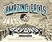 Amazing Facts and Beyond by 