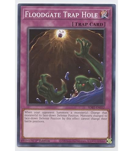 Amazon.com: Yu-Gi-Oh! - Traptrix Trap Hole Nightmare - SDPL-EN033 - Common  - 1st Edition