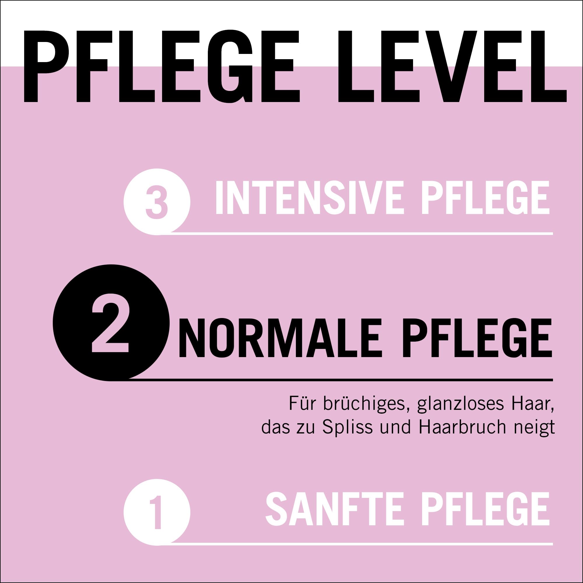 Gliss Shampoo Liquid Silk (250 ml) Haarshampoo mit Ceramiden & Seide, Glanz-Shampoo für sprödes und stumpfes Haar glättet die Haaroberfläche 6