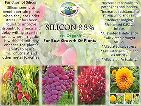 Organic Fertilizer Silicon 98%. for Increasing All Over Growth of Plants and Increase Photosynthesis Very Light Powder Free Flowing.Boost Plants Growth and Increase Immune System of Plants (200GM)