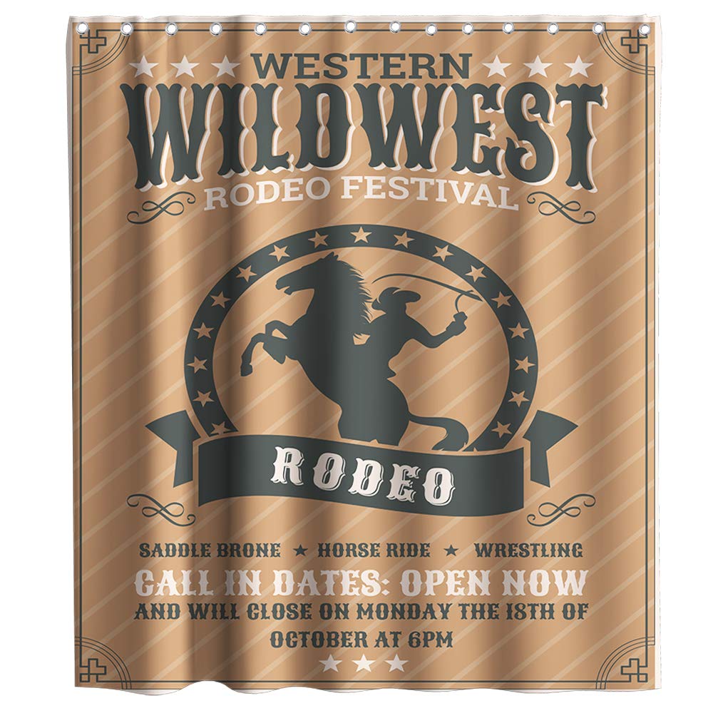 Best western living room rugs