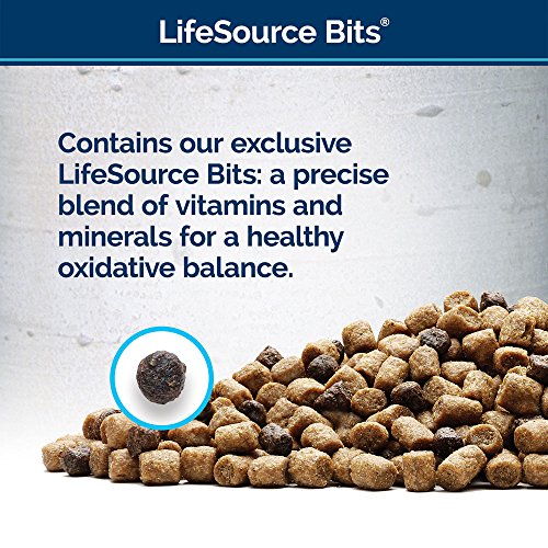 BLUE Wilderness Adult Weight Control Grain Free Chicken Dry Cat Food 11-lb