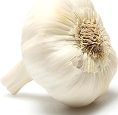 Organic Garlic