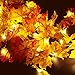 Anpro 30 LED 11.2 Ft Fall Decorations Lights - Thanksgiving Decor Fall Garland Leaves Fall Lights String, Autumn Garland - Battery Powered,Warm White