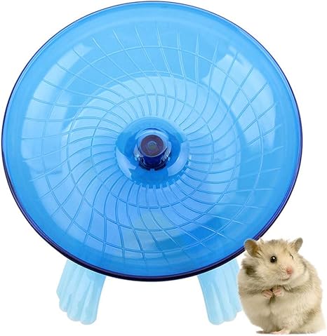bunny exercise wheel